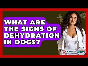 What Are The Signs Of Dehydration In Dogs? - Ask A Pet Vet