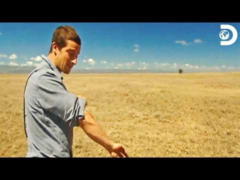 Surviving The African Savannah Alone | Man vs. Wild S1 E9 | Discovery Channel India