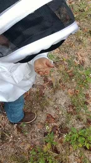 Sometimes a memory just gets you all in the feels! | Gaskins Apiaries