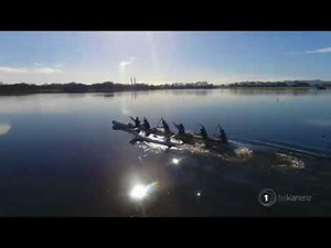 Highlights from today's bulletin