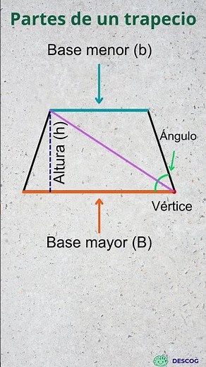 Partes de un trapecio #algebraicamente #mathematica
