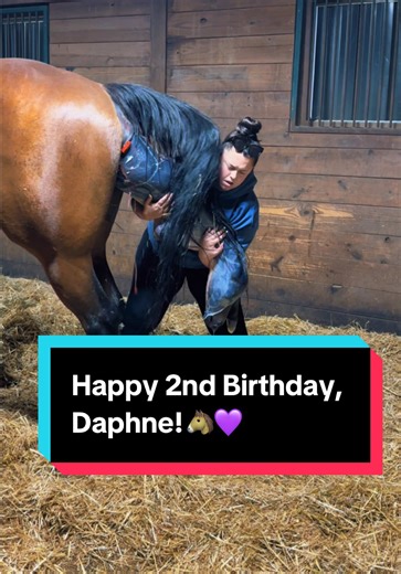 Happy 2nd Birthday, Daphne!🐴💜 | katie van slyke