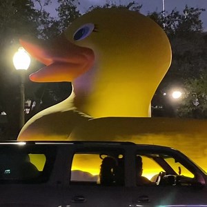 6.6K views · 188 reactions | City Park is aware of the wait times to...