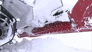 Schneesturm, Nebel, kein Mensch zu sehen - kein Mucks zu hören....