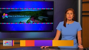 8 comments | Thank you One Caribbean for continuing to support the C&W Charitable Foundation by providing a platform to share our mission. Check out this week’s segment of Community Connections to learn more about ongoing relief efforts in St. Vincent and the Grenadines, and how you can get involved. Click here to donate https://bit.ly/32pMvAv | Flow | Facebook