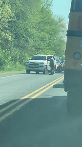 These adorable little fawns had to get a little bit of help when crossing the road near Highway S and Highway 124 🥰 📸: Ashley | WEAU 13 News