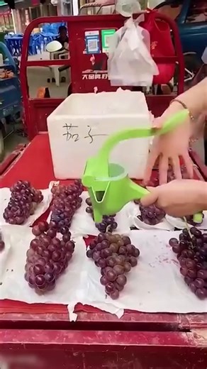 Understanding how to assemble and operate a manual juicer can help achieve better juice extraction. Learn how leverage, design, and pressure affect juicing performance at home. | Todd Smith