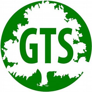 Tree Surgery Services - Global Tree Solutions Ltd