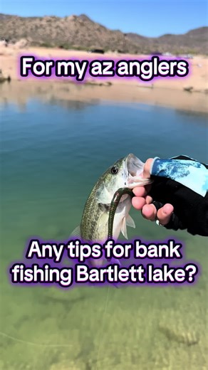Expert Tips for Bank Fishing at Bartlett Lake