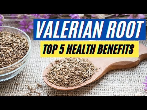 Valerian Root Health Benefits: 5 Powerful Health Benefits