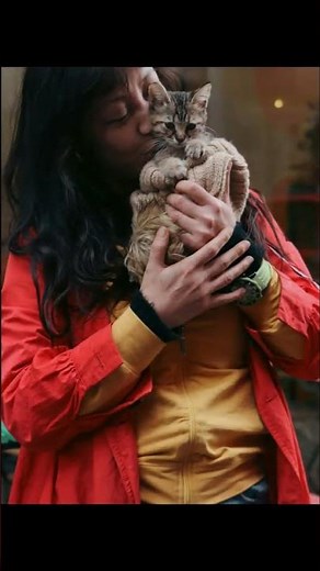 Unlocking the Secrets of Cat Communication: 100+ Sounds Explained!