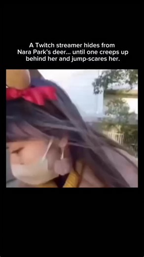 Japan Journeys: Culture, Cuisine, and Adventure 🎌 | She figured she could outsmart the roaming Nara Park deer by slipping behind a post, but nature wasn’t fooled. A bold deer suddenly... | Instagram