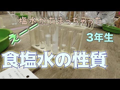 食塩水の性質：３年生：理科実験 【麻布科学実験教室】