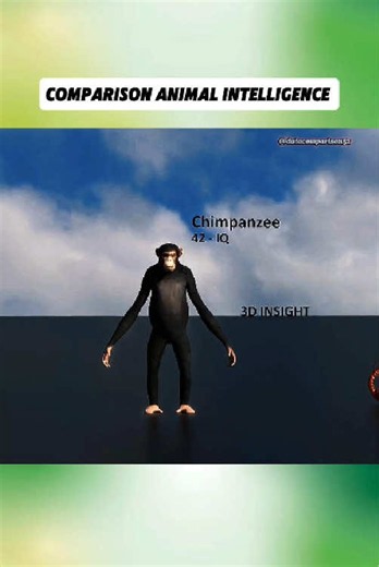 Animal Intelligence Comparison: Which Species Are Most Intelligent?