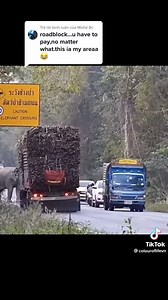 54K views · 1.6K reactions | Road Bully Elephant!Hahaha! | Natural World | Facebook
