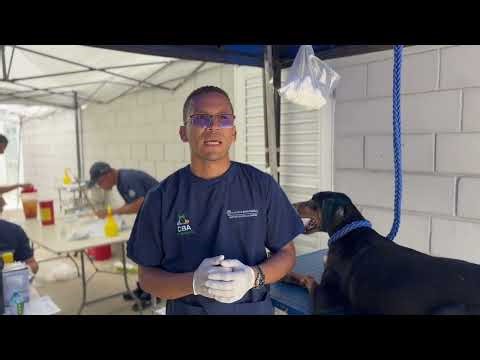 Distrito ratifica acciones para el bienestar de quienes estaban en predio intervenido