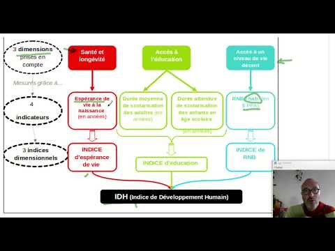 L'IDH. Comprendre l'indice de développement humain (ECONOMIE)
