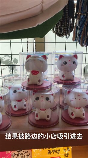 A Hidden Gem Shop Discovered on the Road | Tokyo to Mt. Fuji Drive#sewing