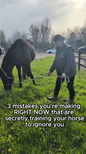 These 3 Mistakes Teach Your Horse To Ignore You
