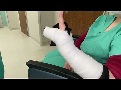 Ulnar Gutter Cast