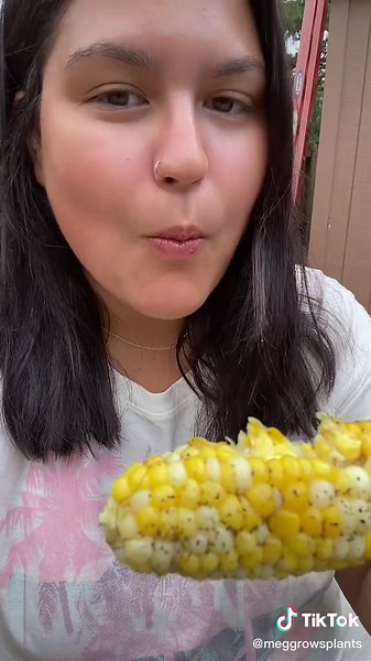 Harvesting Corn for the First Time! 🌽 #GardenHarvest