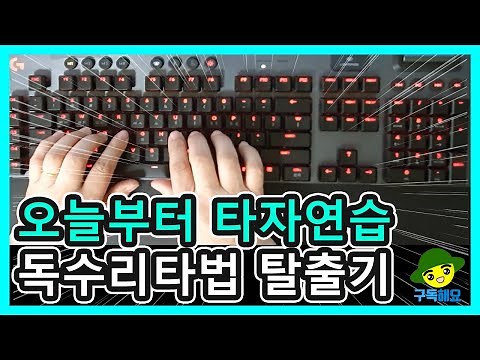 키보드 타자 왕초보의 독수리타법 탈출 도전기! 한글타자연습! 독수리타법 교정! 독수리타자 교정! [1일차] / Practice of typing on keyboard