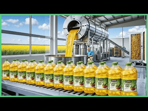 Inside a Canola Oil Factory: How It’s Made