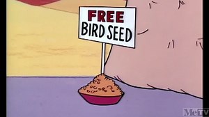 Run, Run, Sweet Road Runner (1965)