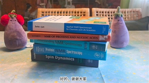 生物核磁共振 BioNMR 领域好书推荐