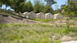 Themes For Safari El Capitan