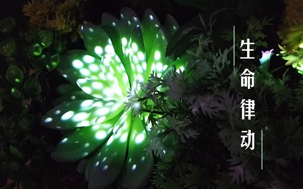 【Processing+Arduino】生命律动丨实体投影交互装置