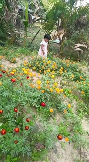 my baby full masti me hai#shortvideo