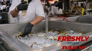 2K reactions · 2.8K shares | For over 45 years, Jimmy’s Famous Seafood has been using the same recipe on our Maryland steamed crabs! Our freshly-sourced Maryland crabs are guaranteed to live up to the hype! Taste for yourself - #GetFamous! | Jimmy's Famous Seafood | Facebook