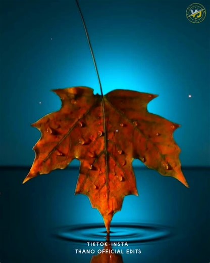 #ᴛʜᴀɴᴏ_ᴏғғɪᴄɪᴀʟ_ᴇᴅɪᴛs_ #Whattsapp_status_in_thamil_ #Alight_motion_Edit_ #❤🖤❤🖤 @queensika05 @sif......kutty @rskujin @jpkanamani4 @shan_________rs1 @nishamini0208 @vidhuvidhu49 @heart_killer_000 @coltondilan4 @jr_piraveen @smileyprincess22 @ammukutty44444 @apaponnu14 @bgm_store @themes_music @devil__boy_4 @jenijk28 @k_kisha @ooo____05 @lajeekan @ms.meera4 @mathu.meenu8 @thaaru040 @roshanshanaz18 @tjthanujeeva @stm__sanjee @sankaviaariwork @sai_457 @thurkka2.24 @kaveegirl1231 @chella__kutty__