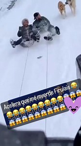 19 reactions | Este par de amigos rusos Tuvieron que meter turbojet para que no los muerda firulais 藍藍藍 | Gilberto Nava | Facebook