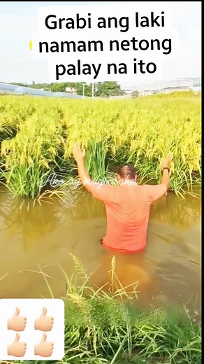 Ang laki #highlights | Ako ay magsasaka
