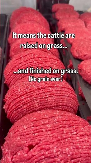 What does 100% Grass-Fed Beef REALLY Mean? | Quick Guide