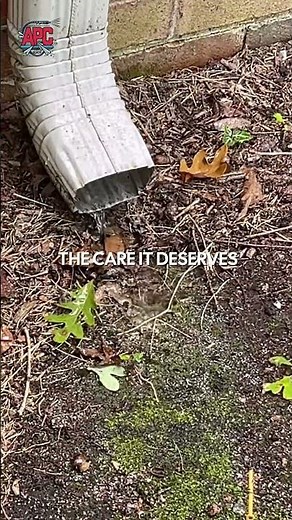 Gutter Cleaning Experts in Central Virginia | Protect Your Home from Water & Roof Damage