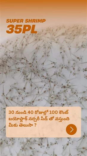 బయోఫ్లాక్ మ్యాజిక్ 🪄 : 1M 100 కౌంట్ వన్నామీ సీడ్ in 35 డేస్ | 9440550092 #telugucommunity #telugu