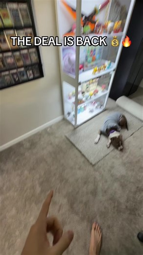 Card catalog cabinet #cardcatalogcabinet #pokemoncards #gradedpokemoncards #gradedcards #carddisplay