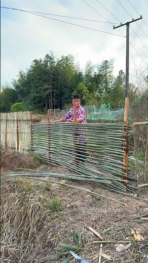 Boost Your Garden! How to Extend & Expand Your Fence for Ultimate Privacy