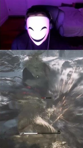 Bai He, Haitang Hua, Zhu Ding Hong