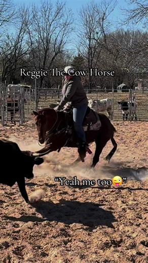Yes I know I lost a cow. No I’m not a cutter. But I do like riding broke horses😉 #horse #rodeo #fyp #cuttinghorsesoftiktok