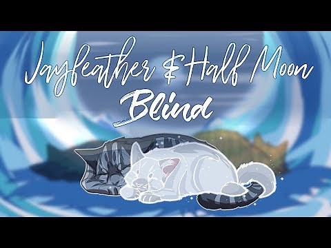 ◁ WARRIORS ▷ Jayfeather & Half Moon | Blind | PMV