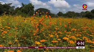 38K views · 697 reactions | ✅Productores del campo buscan nuevas...