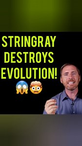 Stingray Destroys Evolution!😱❌ | Creation Today