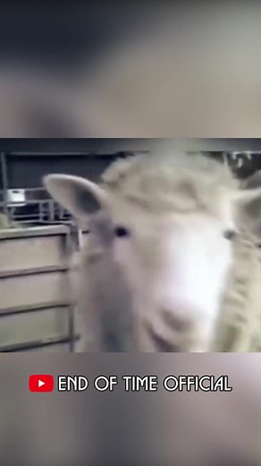 50K views · 899 reactions | End of Time on Reels | Facebook