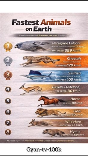 fastest animals on earth 🌎 #shortsfeed #gk
