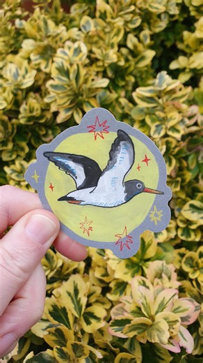Oystercatcher Bird Vinyl Sticker - Etsy