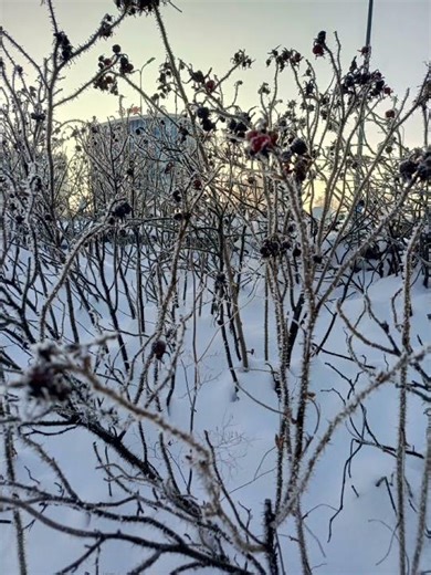 All in and Far M.. Beat: Alien Ant Farm "Smooth Criminal"